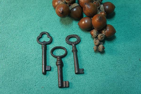 wiumfGuzPEF3g6yX50..fQ.jpg wiumfGuzPEF3g6yX50..fQ.jpg