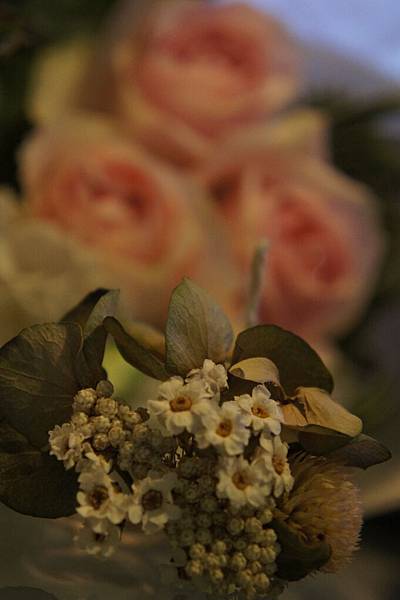 feNDSEEyl9_Q8OrIuq7MCQ.jpg feNDSEEyl9_Q8OrIuq7MCQ.jpg