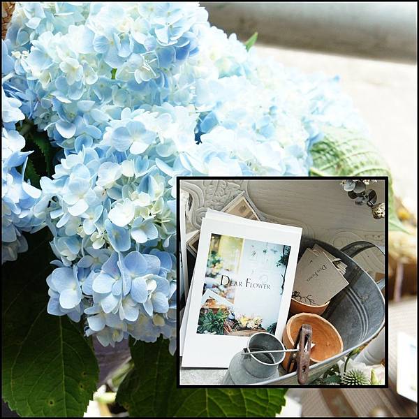 GoYhCMKKq3UDelnyD1jsKg.jpg GoYhCMKKq3UDelnyD1jsKg.jpg