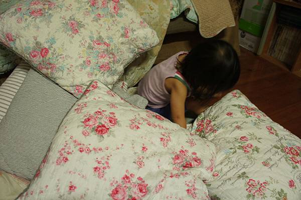 DSC08696.JPG DSC08696.JPG