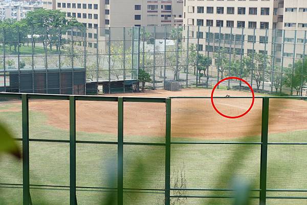 DSC01179-1 DSC01179-1