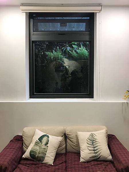 S_7747956654661.jpg