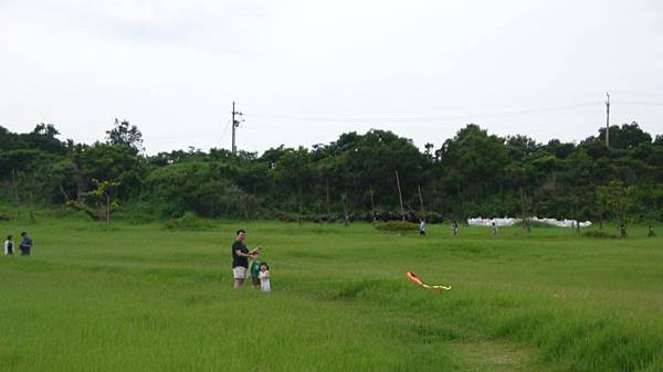 青青草原