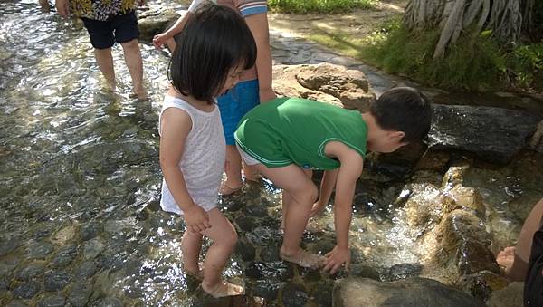 台塩通宵觀光園區