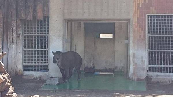 上野動物園