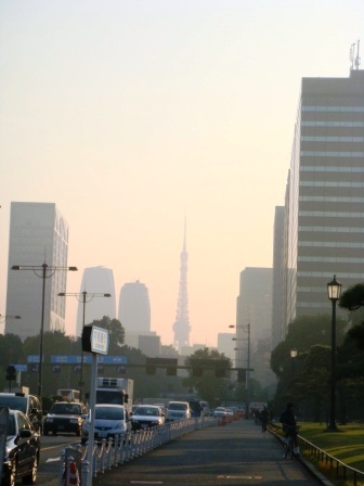 東京鐵塔看到了嗎