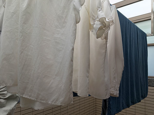 IMG_2905.JPG IMG_2905.JPG