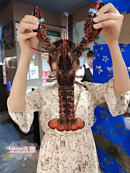 【餐廳】台北中山火鍋推薦|新模式的川之流精緻涮涮鍋|民生店|中山區聚餐推薦 (出示文章送培根牛or鮮大蛤)