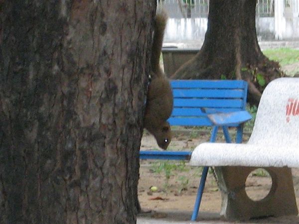 ^^..在公園閒逛時..發現不明生物