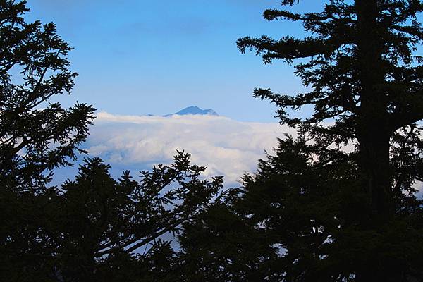 南投~合歡山2-2.jpg