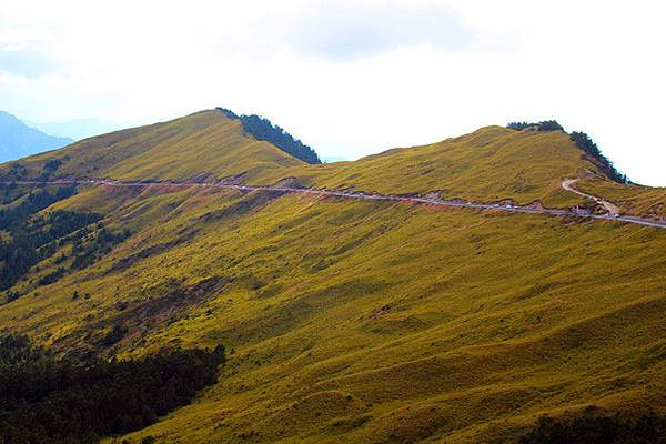 南投~合歡山11.jpg