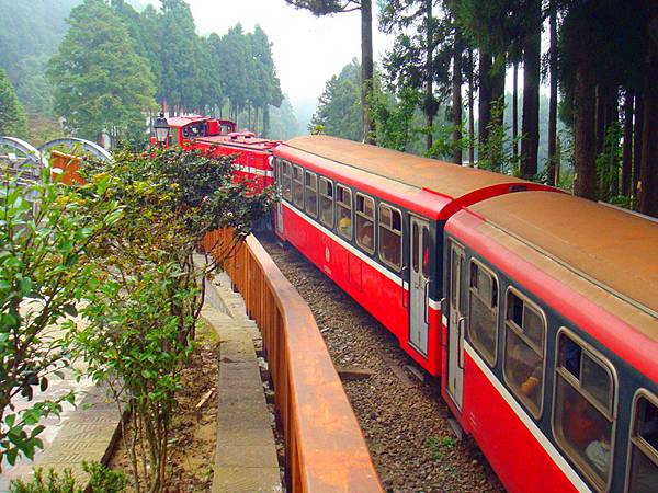 阿里山森林鐵路6_副本.jpg