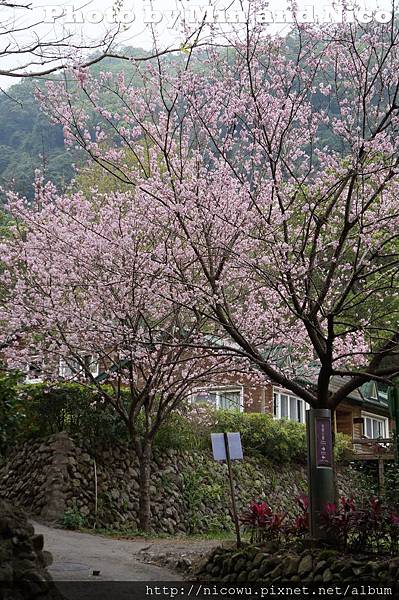 棲蘭山莊