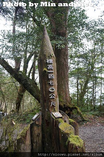 棲蘭山莊