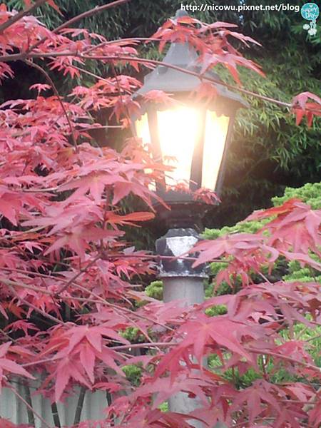 陽明山．松竹園餐廳