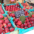 Vieux Nice Cours Saleya