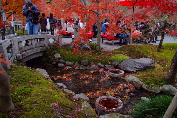 DSCF1077.JPG