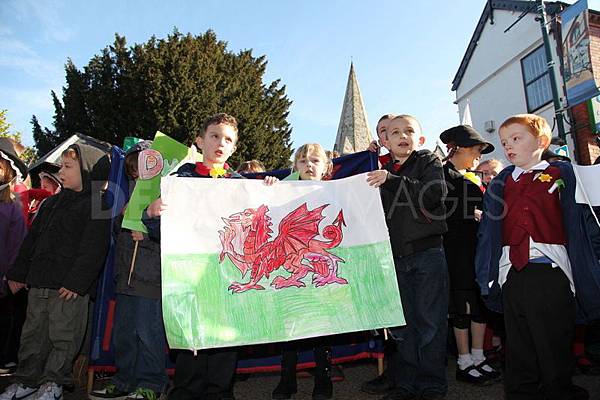 威爾斯龍 威爾斯龍