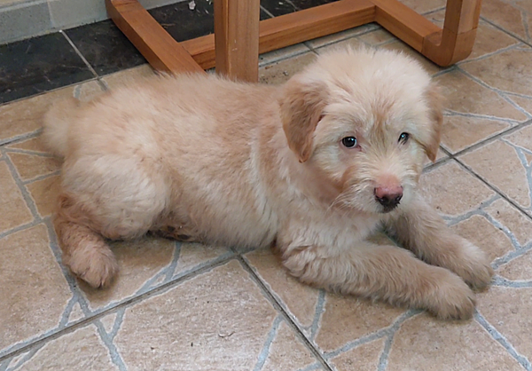 take the ride to the other sid