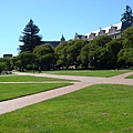 Quad