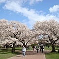 The best &amp; famous view @ UW ----Quad