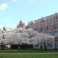 Spring is coming 