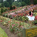 Rose test garden