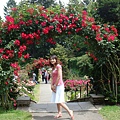 花園內超多用玫瑰花搭成的拱門