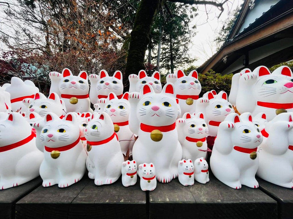 （日本-東京）東京人氣景點推薦｜隱藏於世的招財貓發源地-豪德