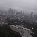 下雨霧濛濛的東京