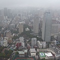 下雨霧濛濛的東京