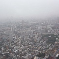 更高來看下雨霧濛濛的東京