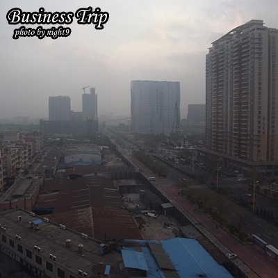 businesstrip-04.jpg