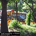 愛寶樂園~野生樂園老虎車