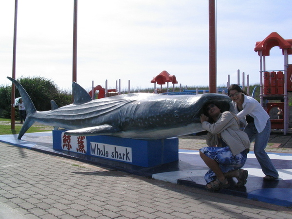 7/4 - 澎湖水族館