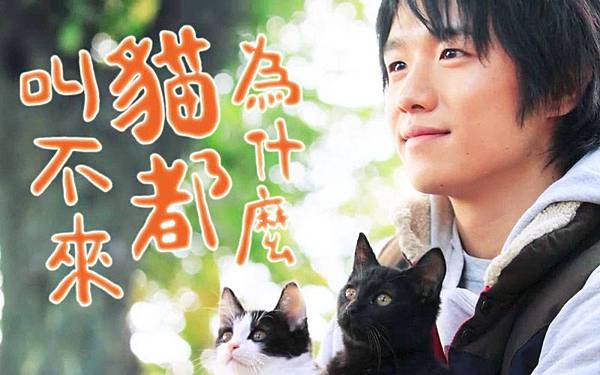 為什麼貓都叫不來.jpg 為什麼貓都叫不來.jpg