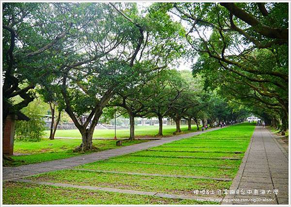 東海大學09