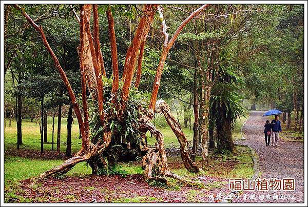 福山植物園10