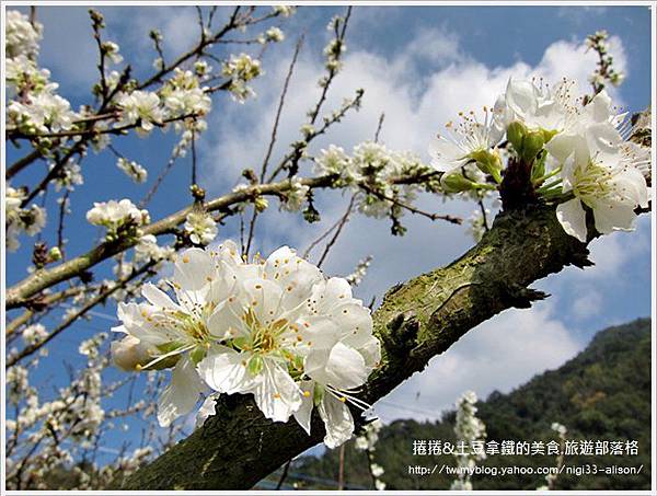 那瑪夏民權國小02