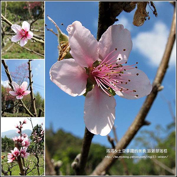 那瑪夏民權國小04