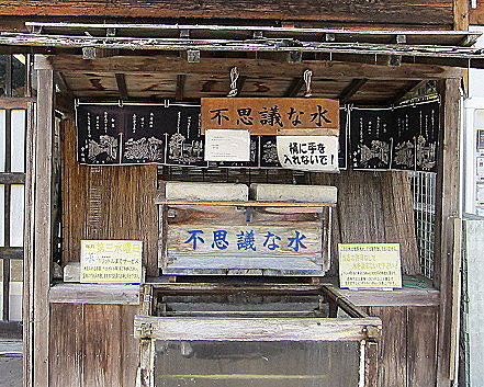 槌馬屋午餐09.jpg 槌馬屋午餐09.jpg