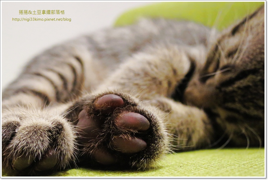 典咖啡21.JPG 典咖啡21.JPG