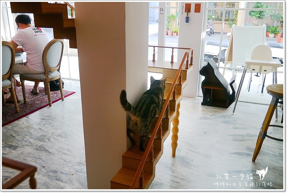 外带一只猫-11