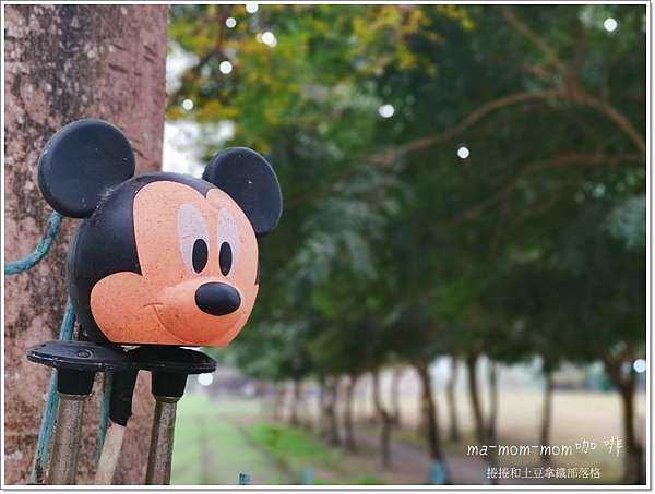 屏東 南州糖廠ma Mom Mom咖啡 白色咖啡屋 Ig打卡餐廳 捲捲和土豆拿鐵 痞客邦