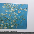 IMG20220625164156.jpg