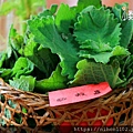 LINE_ALBUM_餐點_240529_3.jpg