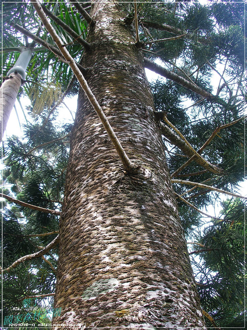 墾丁森林公園