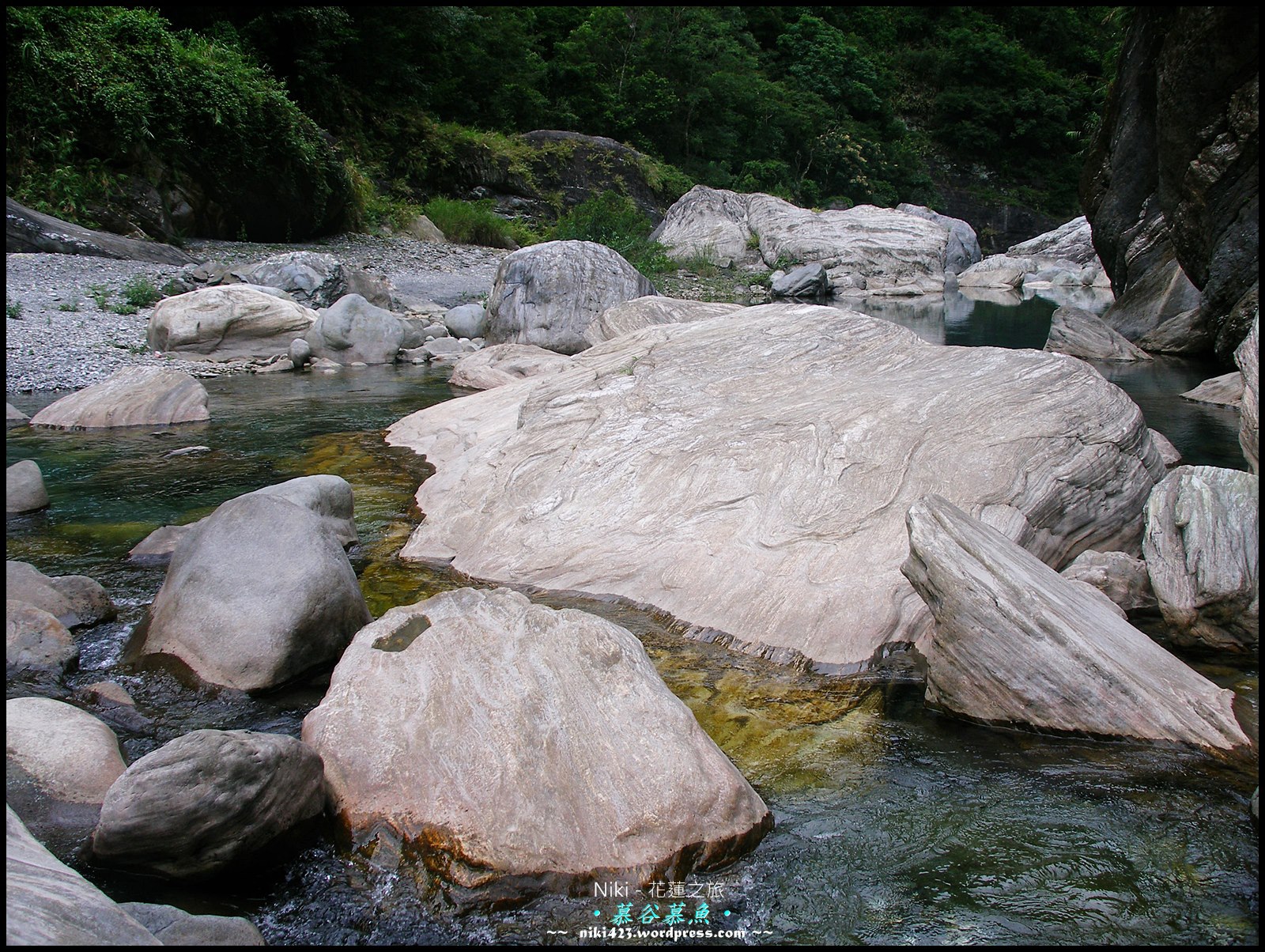 慕古慕魚