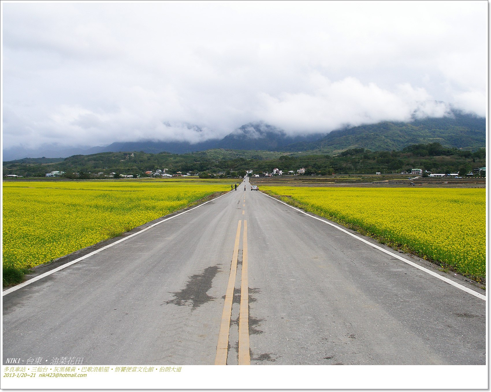 花東油菜花