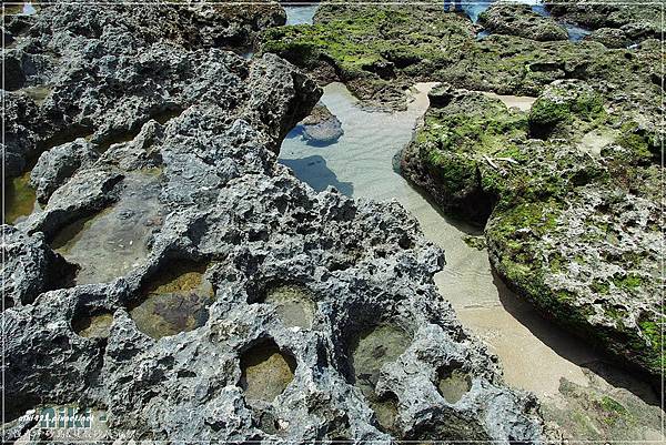 砂島.貝殼砂館